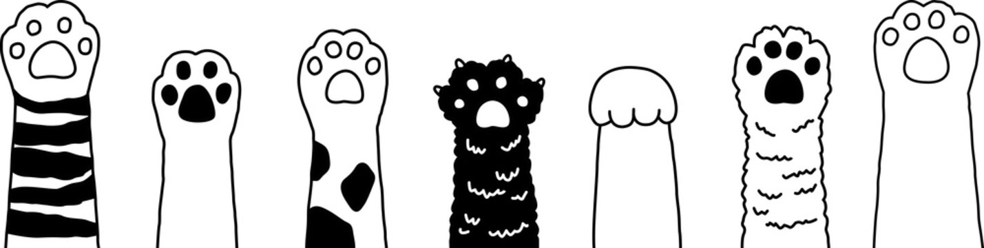 cat paw footprint cartoon character icon breed calico doodle illustration