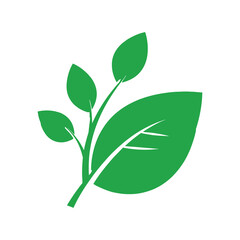 Fototapeta premium Green leafy branch with multiple leaves on transparent background