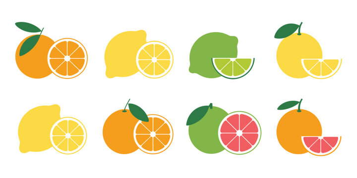 Citrus Fruits Set Featuring Orange, Lemon, Lime, and Grapefruit Slices in Fresh Vector Illustration.