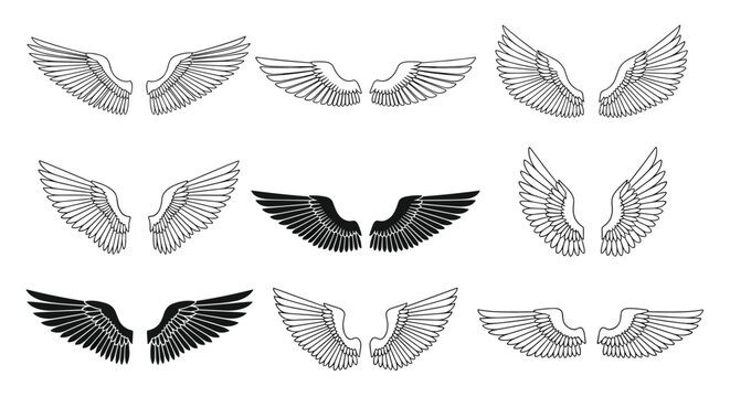 Collection of various bird and angel wing designs in different styles, sizes, and orientations in black and white.