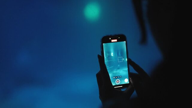 Person Filming Aquarium Experience with Smartphone