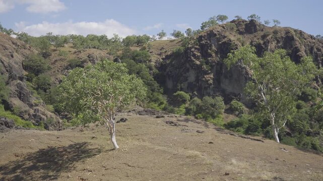 A view of rock mountain in Indonesia ungraded flat color hlg3 bt2020 4k 24fps