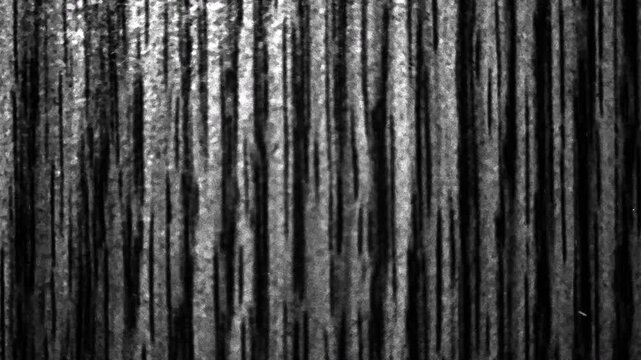Dark vertical grunge texture with distressed streaks, vintage scratches, abstract monochrome background, cinematic horror atmosphere