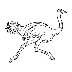 Fototapeta premium Running ostrich outline vector illustration in minimalist black and white style