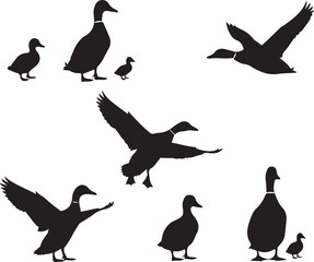 Fototapeta premium Set of bird silhouette vector icons flying birds collection illustration design