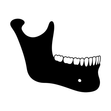 Human mandible anatomy illustration icon on a white background black silhouette