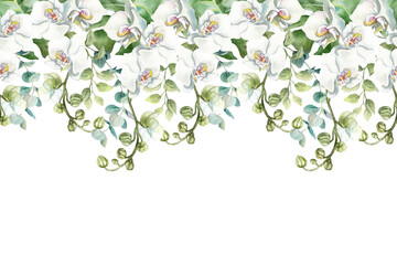 White orchids seamless border. Branches of delicate flowers droop downwards. Hand drawn watercolor illustration, isolated. Perfect for wedding invitations, cards, spa banners and cosmetic labels. © Farida