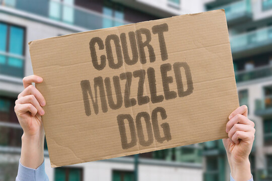 "Court muzzled dog" Judiciary loses ability to check. COURTS. INDEPENDENCE. POWER. CAPTURE. SILENCE.