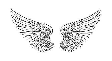 Fototapeta premium Intricate black and white line art illustration of a pair of large feathered wings spread wide symmetrically on a plain white background.