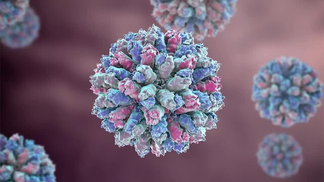 Rabbit haemorrhagic fever virus particles, ai-assisted 3D animation showing slowly rotating non-enveloped calicivirus virions, illustrating highly contagious viral disease in rabbits.