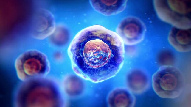 3D animation of microscopic human cells or organisms pulsating and moving in a blue fluid environment