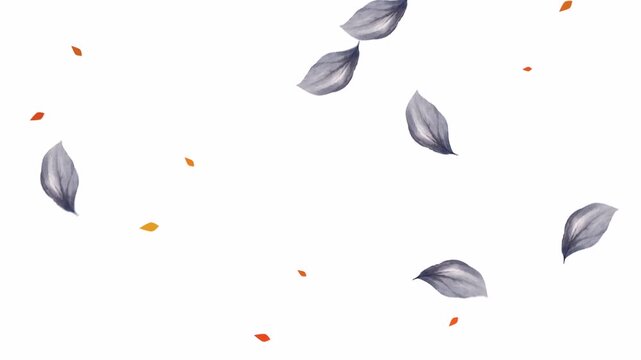 Autumnal grey flower petals and scattered orange leaf flakes. Perfect for seasonal designs, backgrounds, or artistic projects with natural elements.