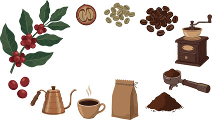 Coffee Production and Brewing Vector Illustration Set Featuring Plant Branch Berry Raw Bean Roasted Coffee Manual Grinder Kettle Cup Bag Portafilter and Grounds © Md Shujan islam
