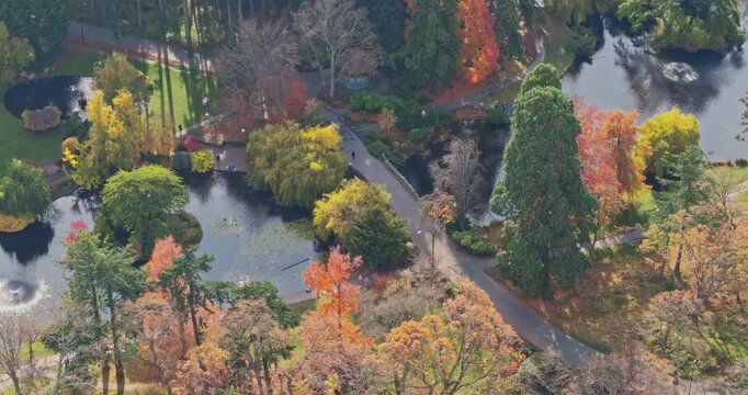 Aerial shot of Beacon Hill park in Victoria Canada BC. Wildlife trees, colorful leaves and water fountain, bridge and pond with beautiful weather walk in the city center	