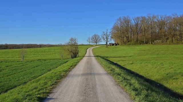 Feldweg, Fr&uuml;hling, Custenlohr, Uffenheim, Landkreis Neustadt an der Aisch-Bad Windsheim, Mittelfranken, Bayern, Deutschland