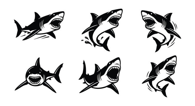 Shark silhouettes vector black and white silhouette