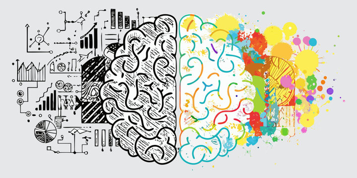 brain divided into creative and analytical sides