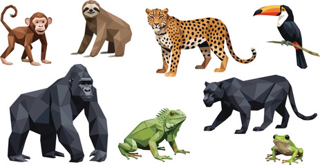 Obraz premium Tropical Rainforest Wild Animal Character Set Featuring Gorilla, Leopard, Monkey, Sloth, Toucan, and Reptiles for Educational Nature Projects and Jungle Wildlife Illustrations