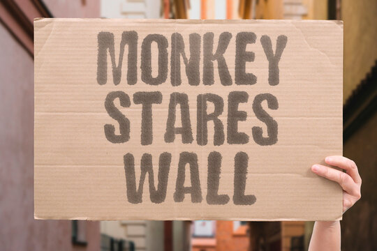 "Monkey stares wall" Primate confined to empty cage. ANIMAL. TESTING. CRUELTY. BOREDOM. LAB.