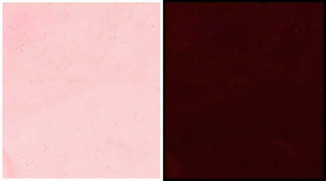 Minimalist split screen background with pastel pink and dark burgundy colors, dual tone textured paper surface, abstract two color layout for graphic design