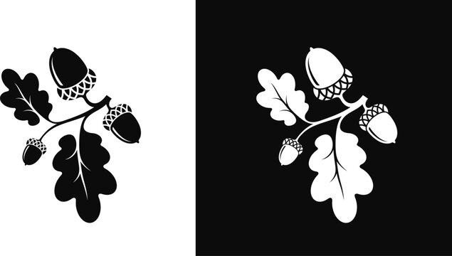 Oak branch with acorns silhouette