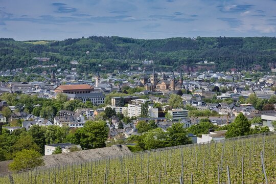 Fahrradtour mit Blick auf Trier