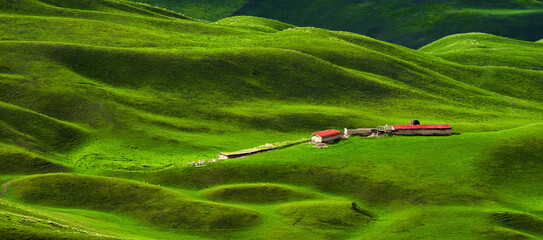 Remote farm on undulating green grasslands © PhungBao