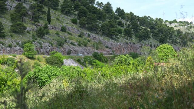 Green rocky Mediterranean hillside covered with shrub and wild vegetation under a clear sky, scenic nature view, peaceful countryside, summer landscape beauty.