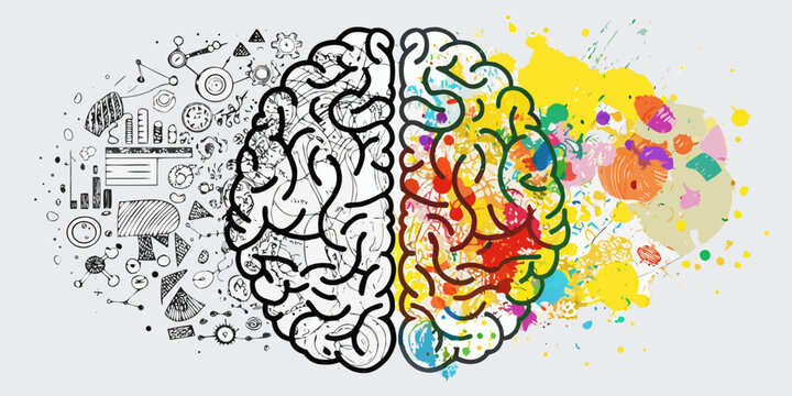 brain hemispheres creative versus analytical vector illustration