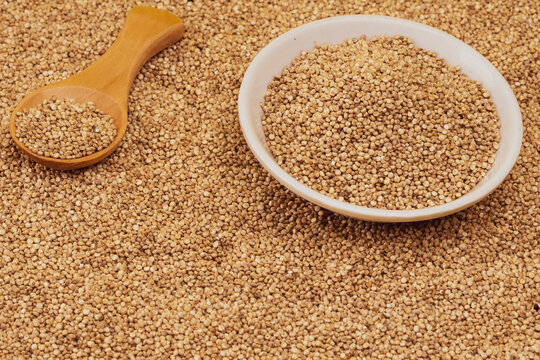 Chenopodium quinoa - Organic quinoa seeds