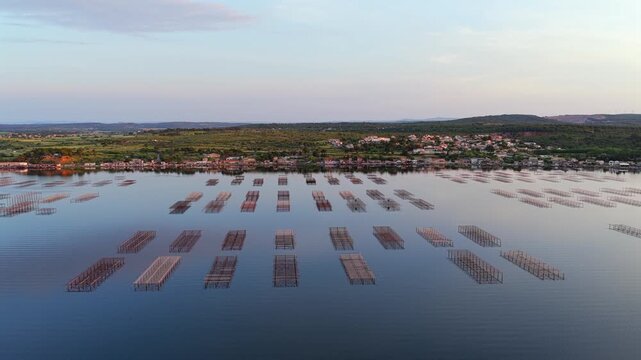 Towards the oyster farms from the tables, on the Thau lagoon, in Occitanie, France.