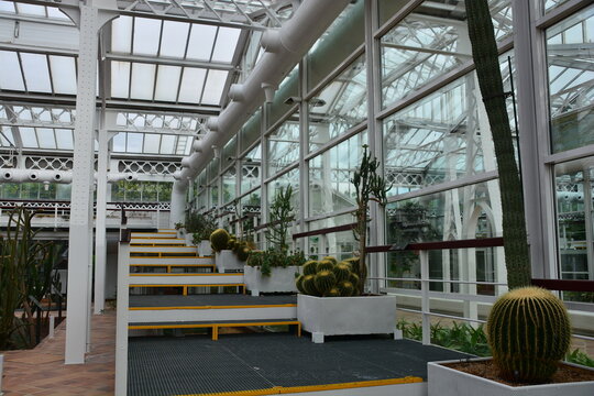 Bot&aacute;nico , Arganzuela 