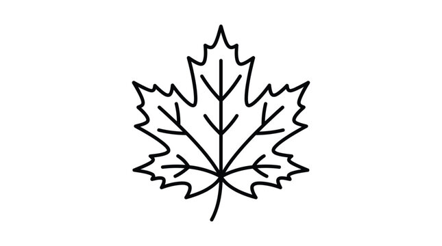 Maple leaf silhouette black outline on a white background