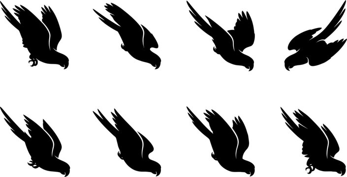 Set of black parrot silhouettes in diving and swooping flight poses isolated on white background