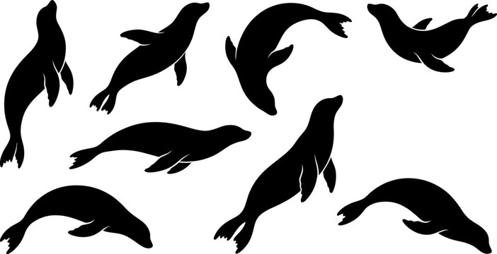 Collection of eight varied black silhouette illustrations of sea lions in swimming and diving poses