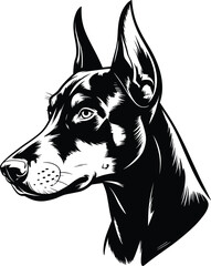 Doberman pinscher dog head profile portrait, strong guard canine breed black and white graphic illustration © MstTanzina
