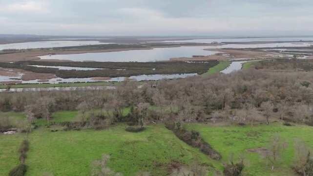 Aerial view of the Kizilirmak Delta wetlands with green fields and bare trees under an overcast sky in Bafra, Samsun, Turkiye.