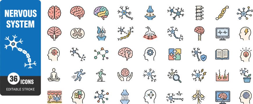Human Nervous System and Neurology Color Line Icons Set