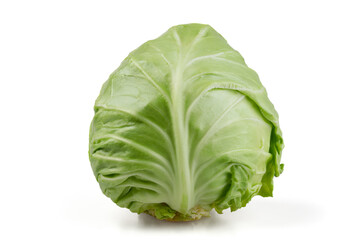 Fototapeta premium A head of young cabbage isolated on a white background.