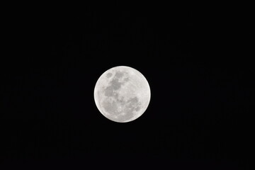 full moon in the night © Fernanda