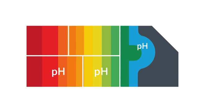 Minimalist Colorful pH Scale Vector Illustration for Science and Chemistry Concepts - Acid to Alkaline Indicator Chart
