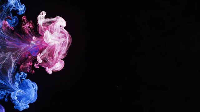 Pink and blue liquid pigment dissolving in water against black background. Abstract ink flow mixing in fluid motion for creative design and visual background