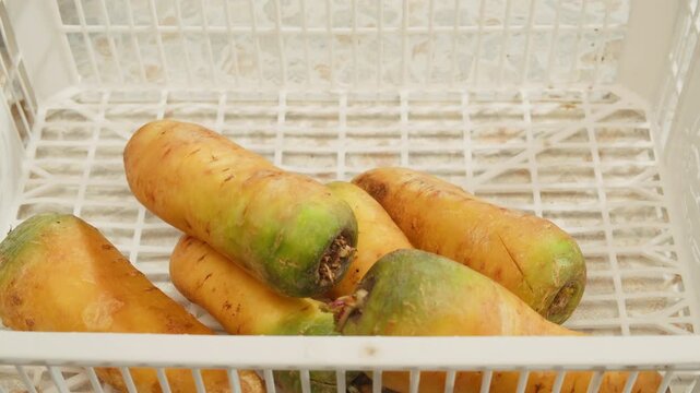 Bunch of yellow organic carrots on a rusty background. selective focus. 