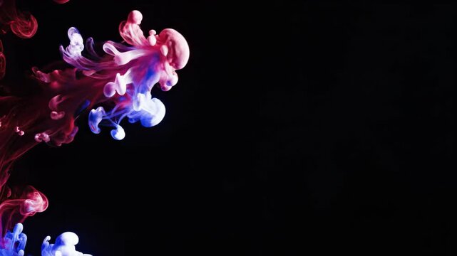 Red and blue ink swirling in clear liquid on black background. Fluid motion of colored pigments dissolving in water. Abstract chemical reaction for dynamic design