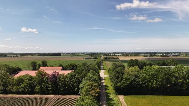 4K drone flyover in Noordoostpolder following a straight rural road. Flanked by two traditional farms amidst sunny agricultural fields.