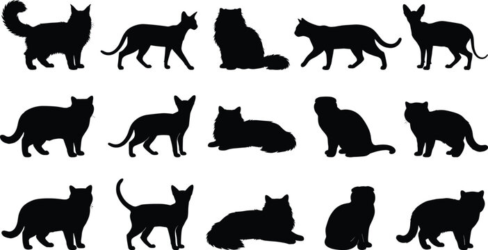 Collection of Silhouetted Feline Companions in Various Poses, Showcasing Domesticated Cat Diversity