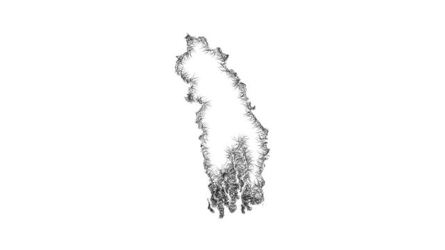 Sketch Khulna outline map animation - smooth progressive reveal