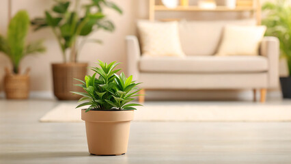 Fototapeta premium Small potted succulent plant on wooden table in bright cozy living room interior