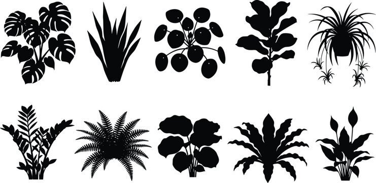 Collection of Silhouettes Representing Various Houseplants and Foliage