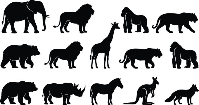 Set of diverse wild animal silhouettes in black and white, representing a variety of creatures from different habitats